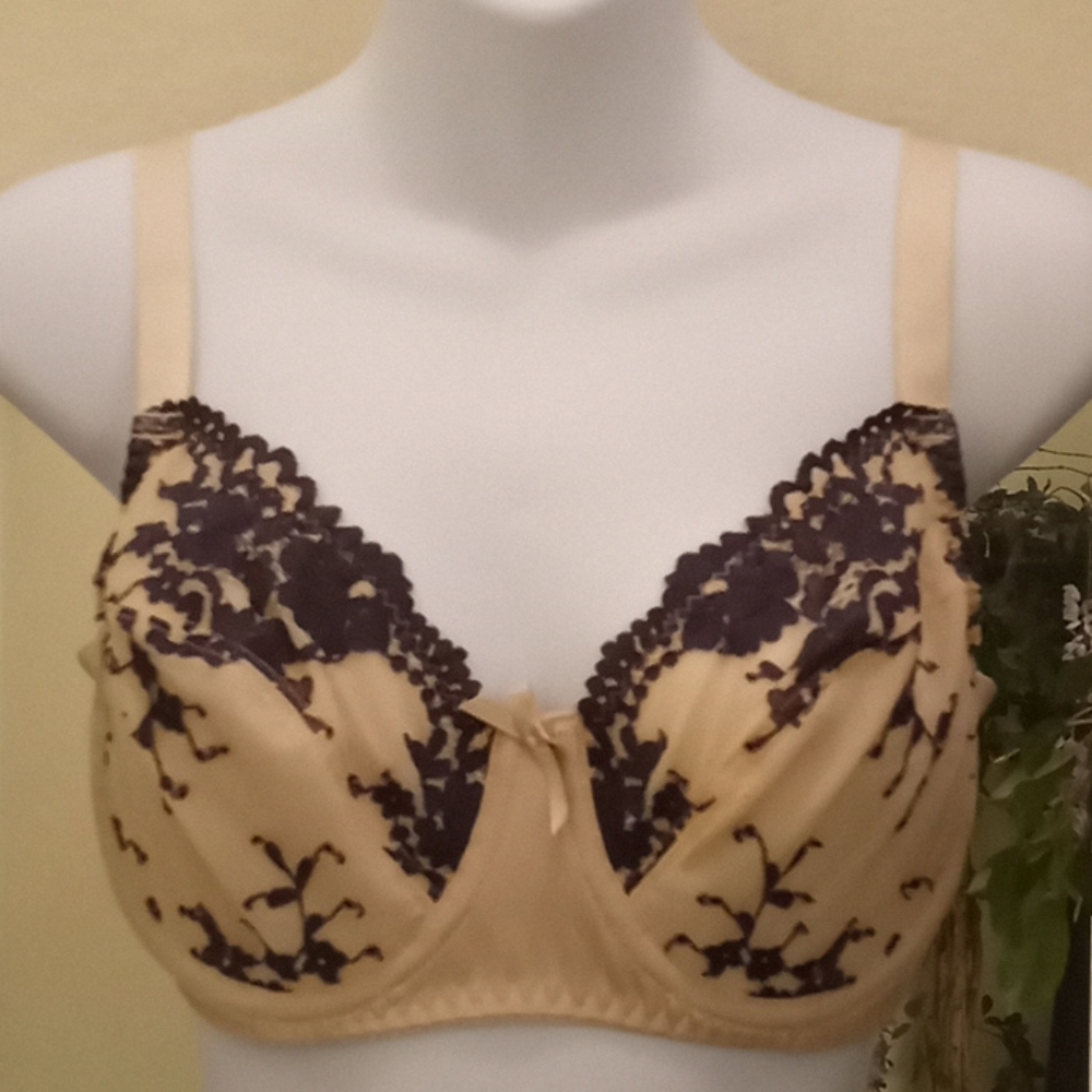 Curve Muse Embroidered Lace & Mesh Bra